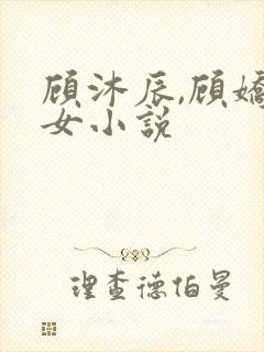 顾沐辰,顾娇父女小说
