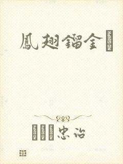 凤翅镏金镋封面
