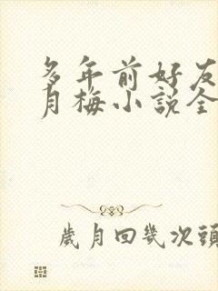 多年前好友母亲月梅小说全文阅读封面