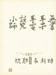 小说平平无奇大师兄电子书下载
