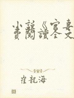小说《官妻》免费阅读全文封面