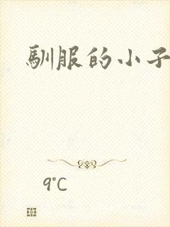 驯服的小子4封面
