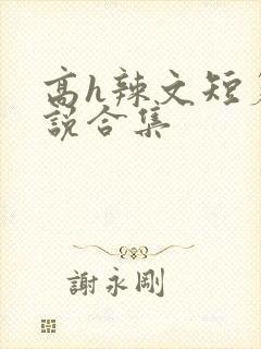 高h辣文短篇小说合集