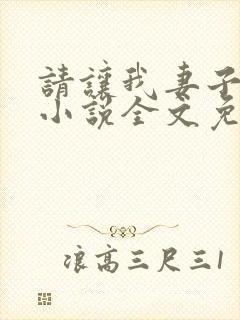 请让我妻子堕落小说全文免费阅读