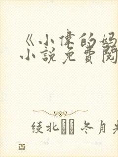《小伟的妈妈》小说免费阅读