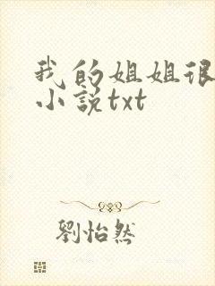 我的姐姐很弟控小说txt