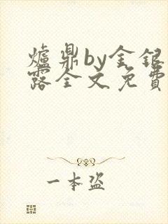 炉鼎by金银花露全文免费阅读笔趣阁