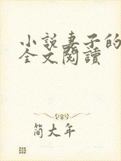 小说妻子的恋爱全文阅读