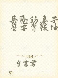 岳飞的妻子为什么要背叛他封面