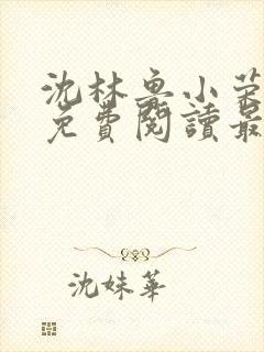 沈林鲁小荣小说免费阅读最新