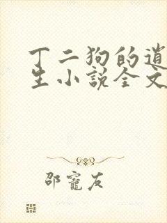 丁二狗的逍遥人生小说全文无删减下载封面