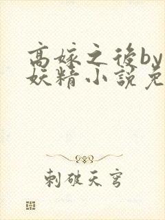 高嫁之后by小妖精小说免费阅读