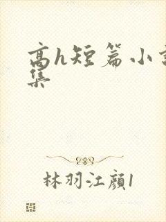 高h短篇小说合集