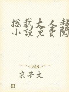 总裁大人超给力小说免费阅读