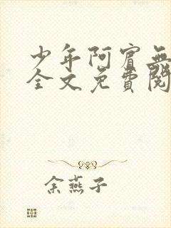 少年阿宾无删减全文免费阅读笔趣阁封面