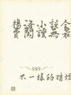 杨洛小说全文免费阅读无最新章节