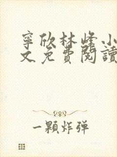 宁欣林峰小说全文免费阅读无弹窗封面