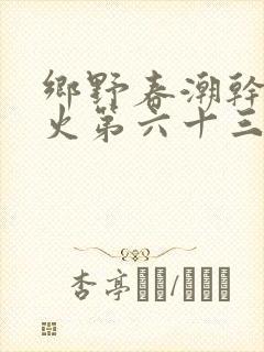 乡野春潮干柴烈火第六十三章封面