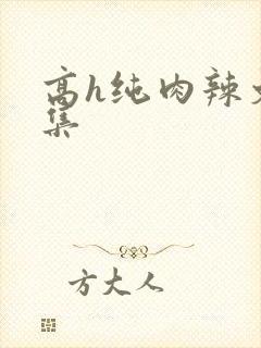 高h纯肉辣文合集封面