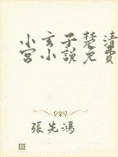 小玄子楚清玄后宫小说免费阅读封面