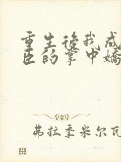 重生后我成了权臣的掌中娇下载