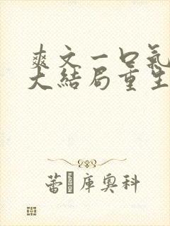 爽文一口气看到大结局重生