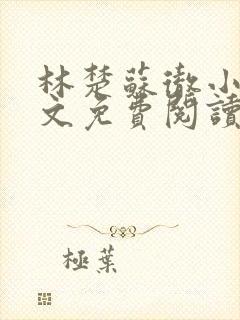 林楚苏彻小说全文免费阅读封面