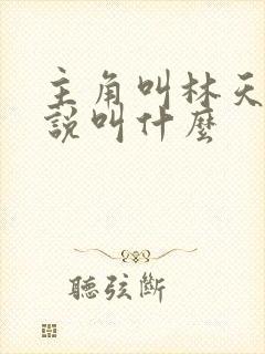 主角叫林天的小说叫什么