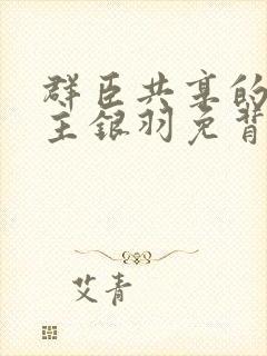 群臣共享的小公主银羽免背刺封面