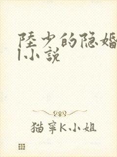 陆少的隐婚罪妻l小说