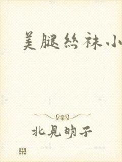美腿丝袜小说