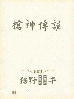 枪神传说封面