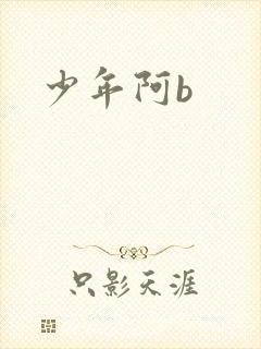 少年阿b