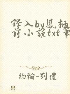 锋入by凤栖堂前小说txt笔趣阁