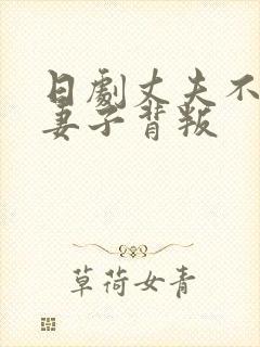 日剧丈夫不在家妻子背叛封面
