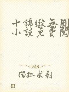 十锦缎无删原著小说免费阅读
