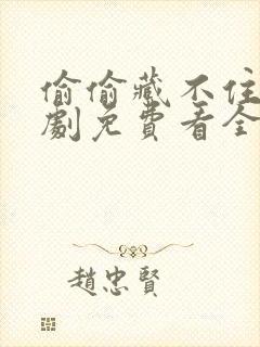 偷偷藏不住广播剧免费看全集