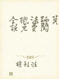 全职法师莫凡小说免费阅