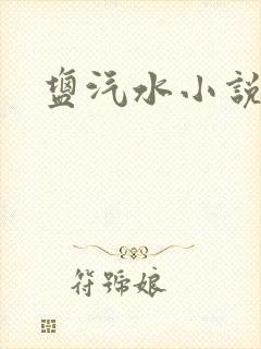 盐汽水小说