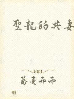 圣龙的共妻封面