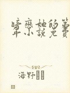 暗恋她的第十一年小说免费下载