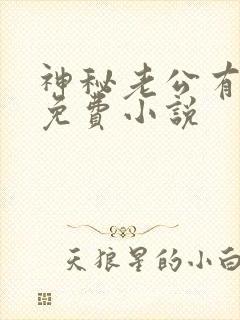 神秘老公有点坏免费小说