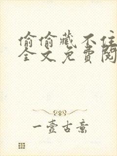 偷偷藏不住小说全文免费阅读免费