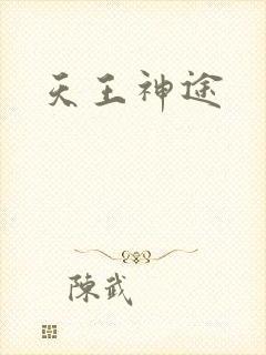 天王神途封面