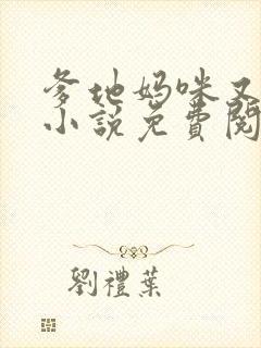爹地妈咪又跑了小说免费阅读