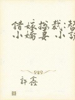 错嫁总裁:替身小娇妻 小说