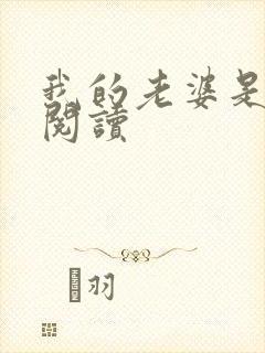 我的老婆是总裁阅读