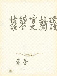 情缠官姐撩人小说全文阅读