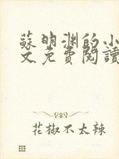 苏明渊的小说全文免费阅读无弹窗
