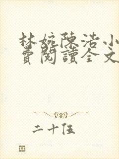 林婉陈浩小说免费阅读全文最新章节封面